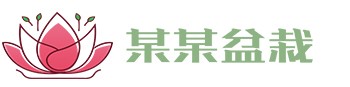 yabosports官网手机版-yabosports官网手机版2024最新版V5.24.125-绿色资源网